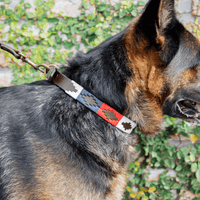 Embroidered Leather Dog Collar (Ceibo)