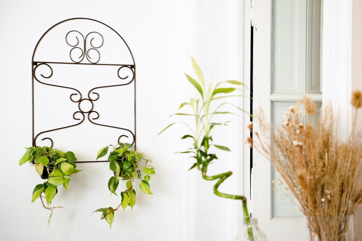 Planter pot holder , iron wall plant holderBlackGaucholife