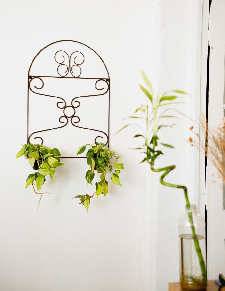 Planter pot holder , iron wall plant holderBlackGaucholife