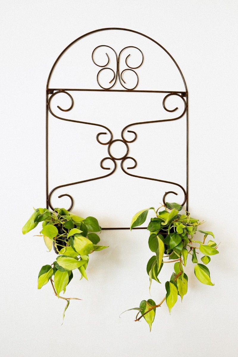 Planter pot holder , iron wall plant holderBlackGaucholife