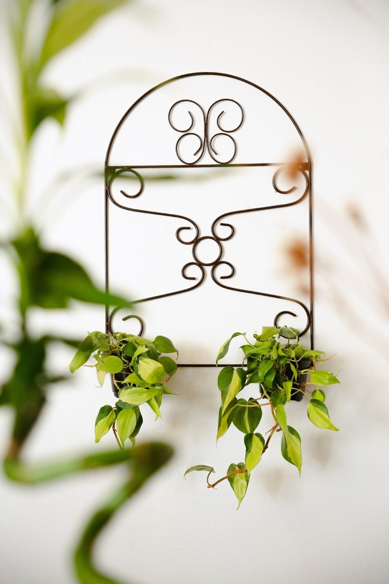 Planter pot holder , iron wall plant holderBlackGaucholife