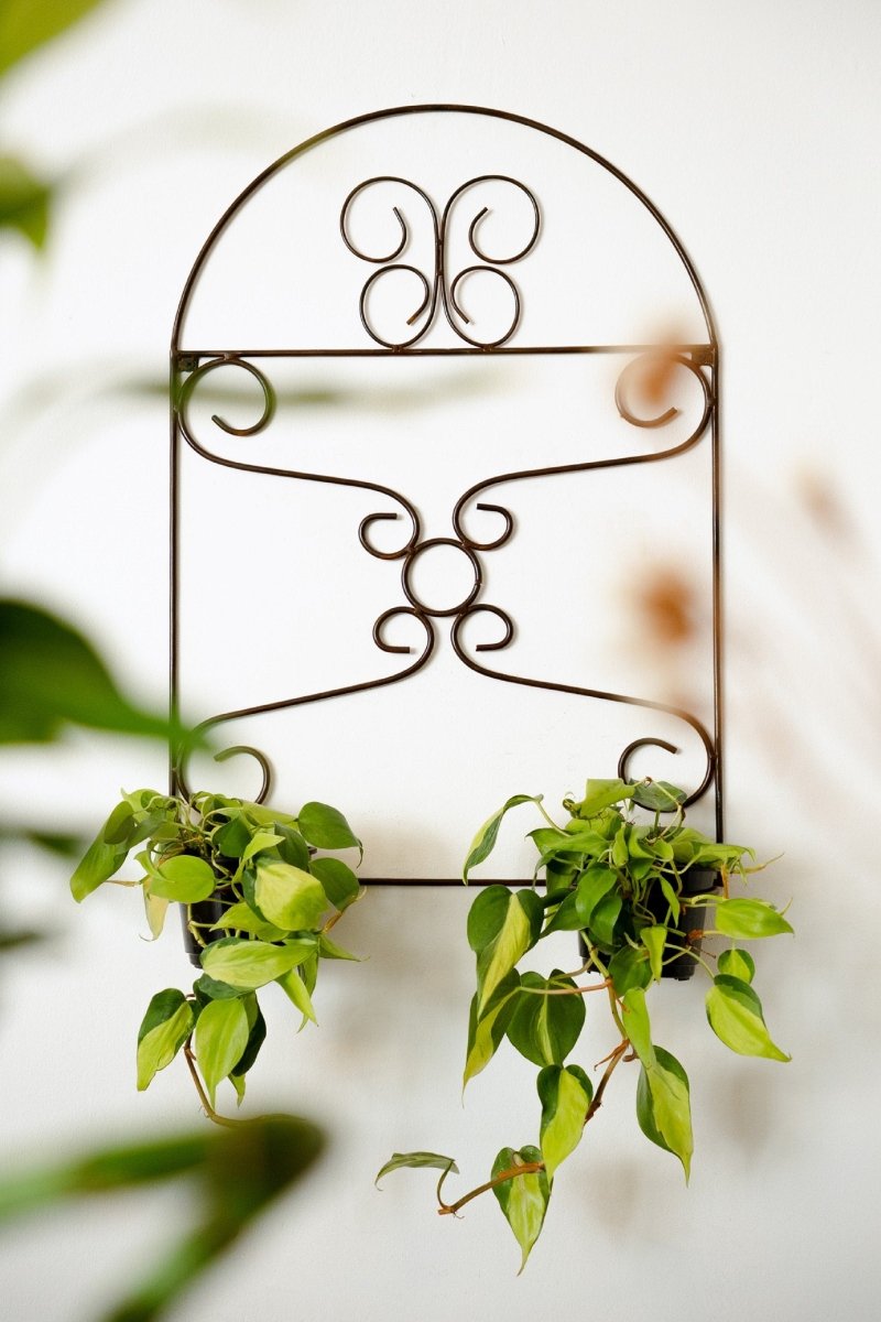 Planter pot holder , iron wall plant holderBlackGaucholife
