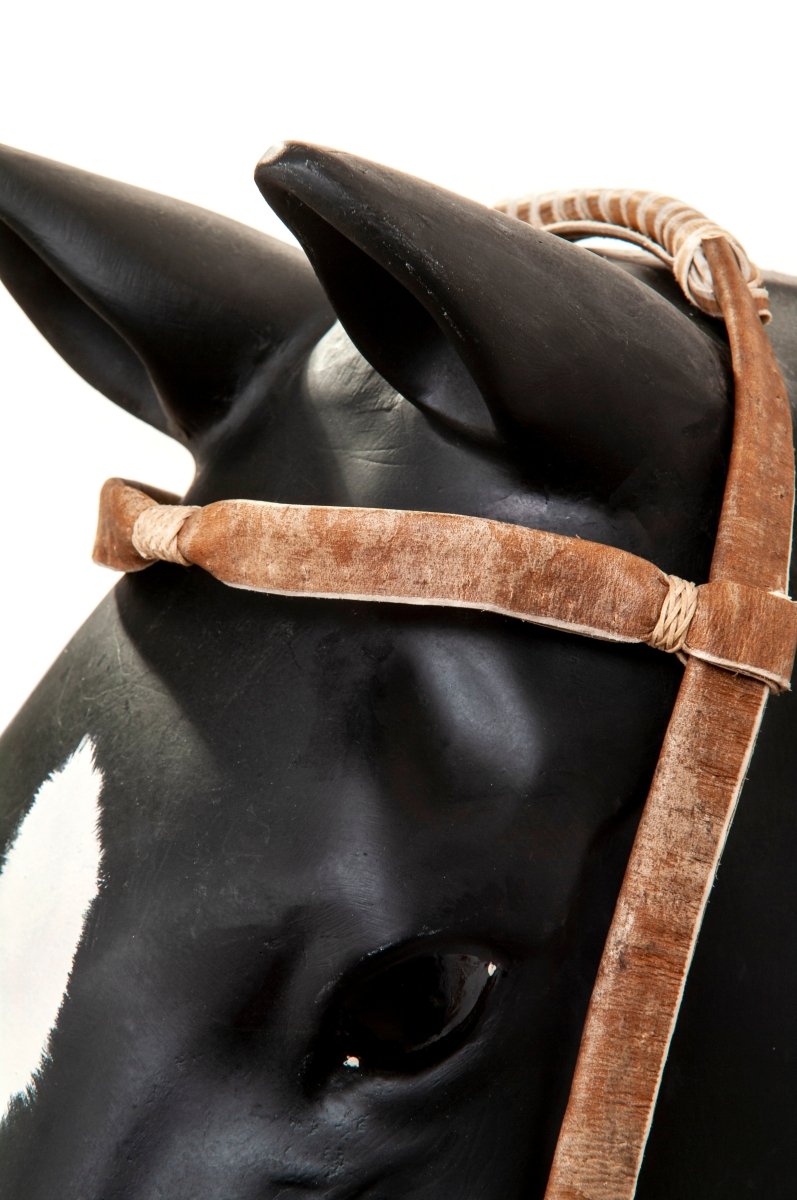Rawhide Gaucho BridleGaucholife