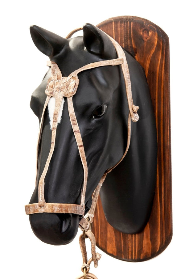 Rawhide Halters