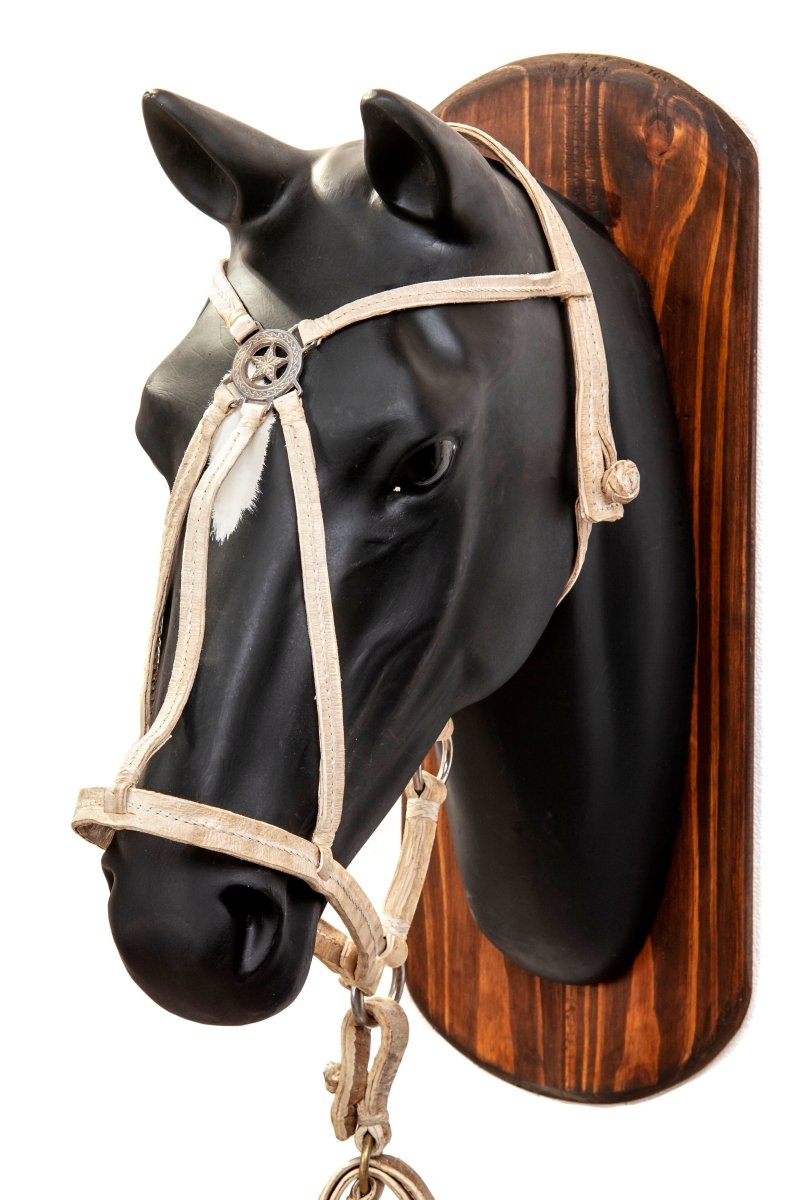 Rawhide Halters with StarGaucholife