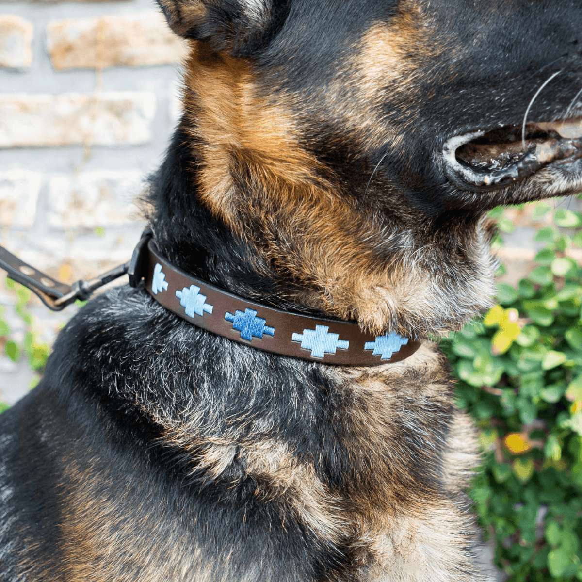 Embroidered Leather Dog Collar (Ombu)XSGaucholife