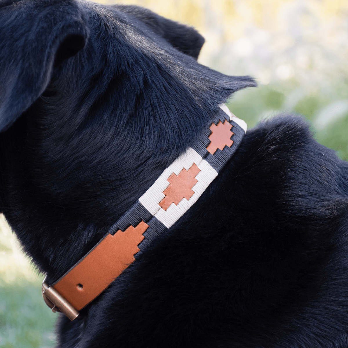 Embroidered Leather Dog Collar (Black/White)X SmallGaucholife