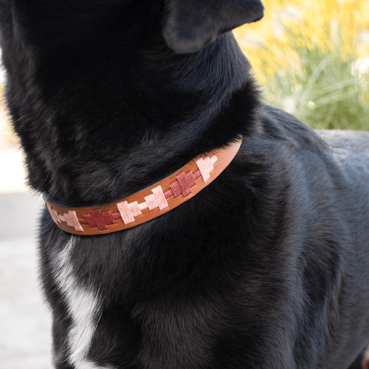 Gaucholife Dogs Embroidered Leather Dog Collar (Strawberry)