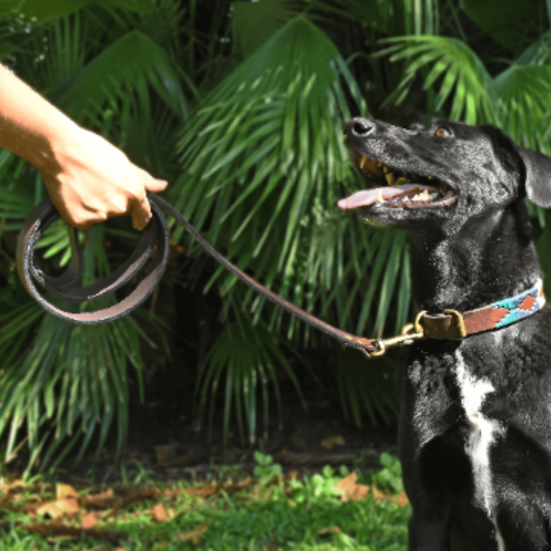 Gaucholife Dogs Leather Dog Leash