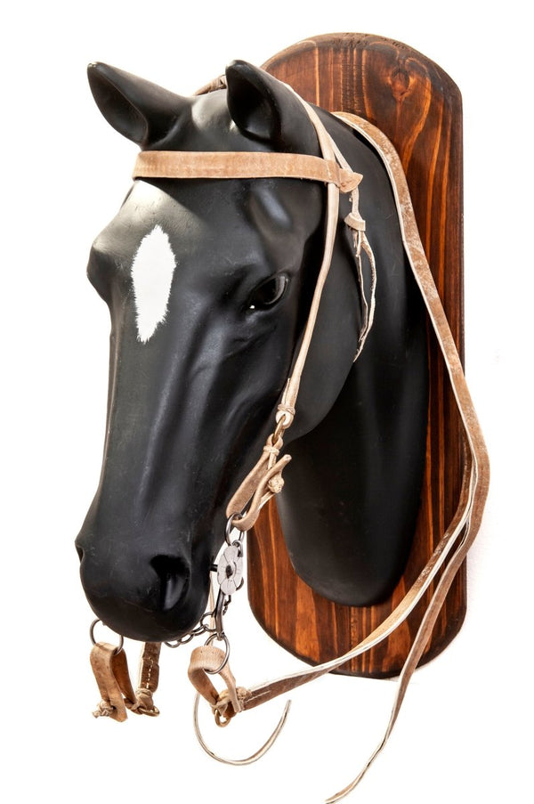 Double Argentine Bridle