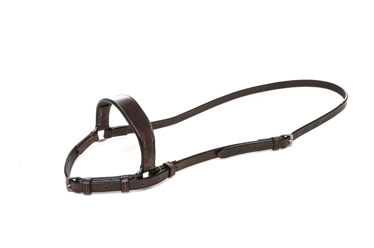 Polo Equipment Braided Rawhide / HB Leather NosebandLeatherGaucholife