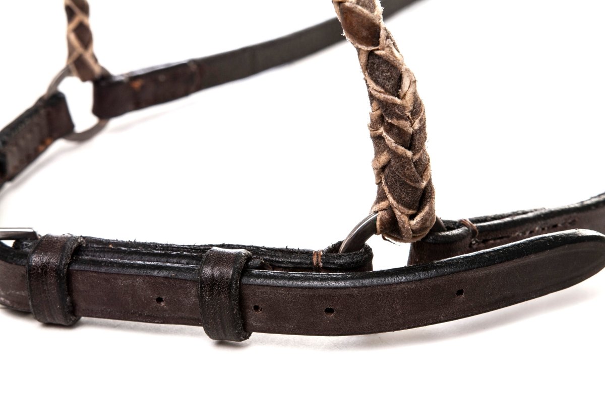 Polo Equipment Braided Rawhide / HB Leather NosebandBraided RawhideGaucholife