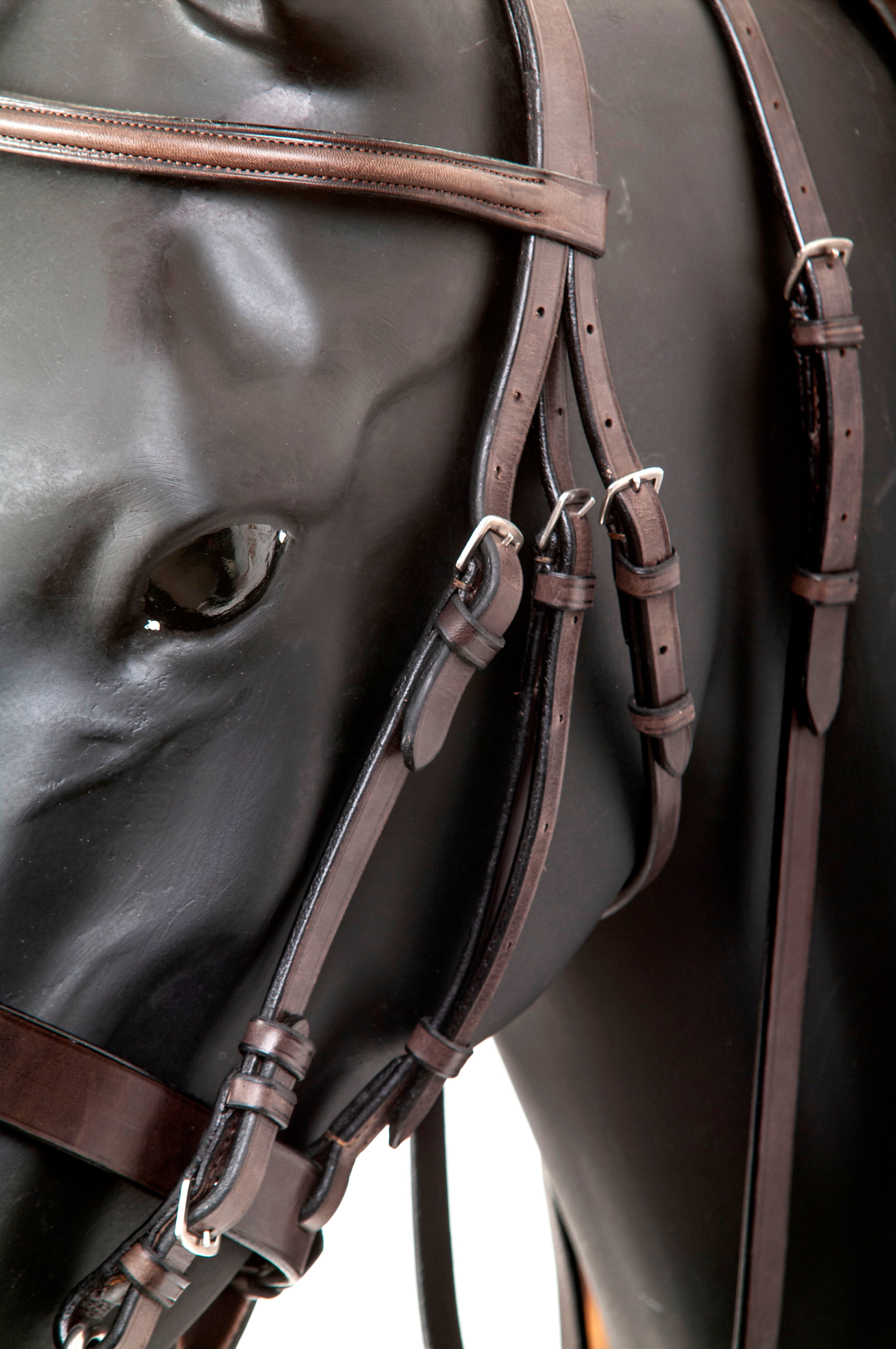 Gaucholife Horse Equipment Premium Leather Pelham Polo Bridle Set