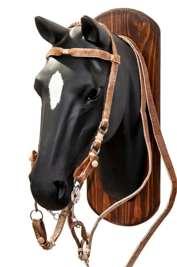 Cabezada de Gaucho en cuero crudo