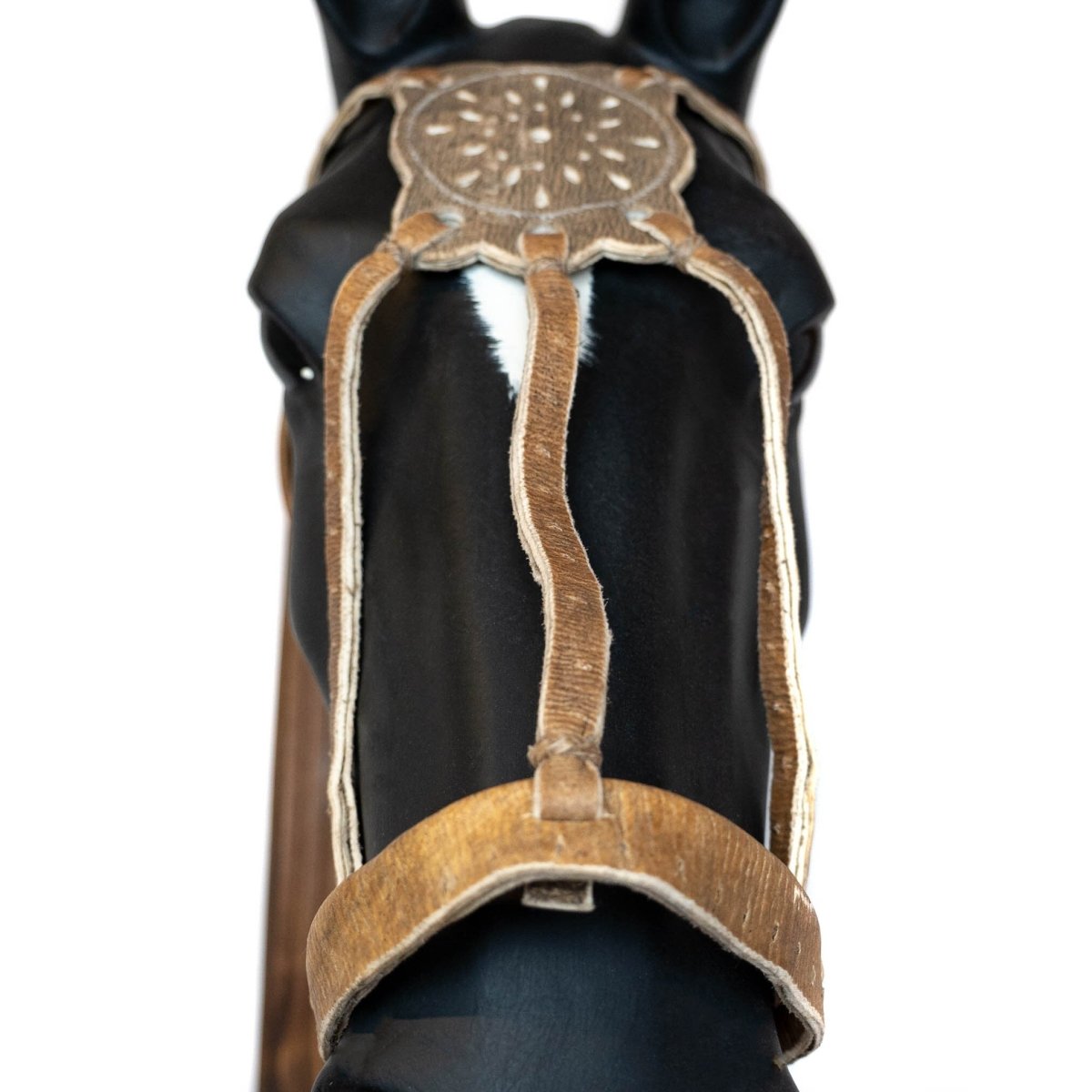 Rawhide Halter for HorsesGaucholife