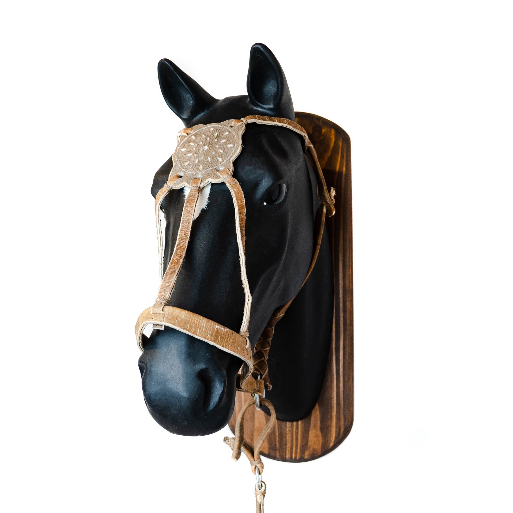 Gaucholife Horse Equipment Rawhide Halter for Horses