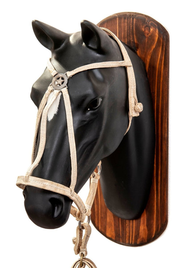 Rawhide Halters with Star